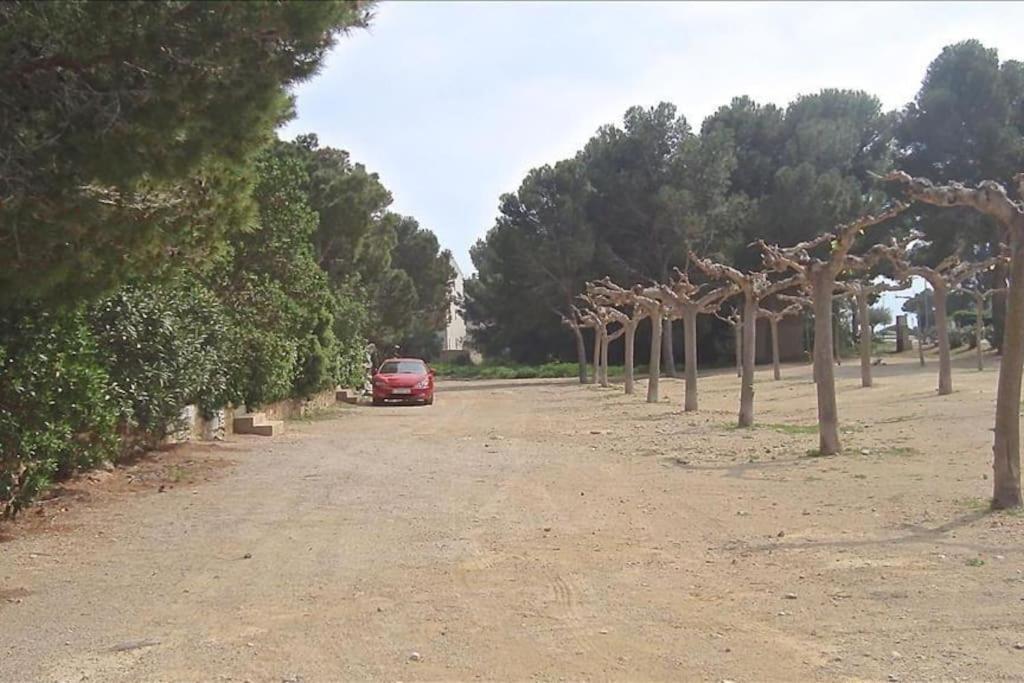 Les Cases Del Vent Ii Vakantiehuis *
